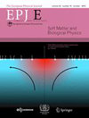 EUROPEAN PHYSICAL JOURNAL E雜志封面